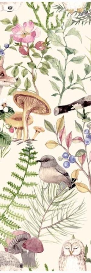 Bombažni jersey, Skrivnostni gozd